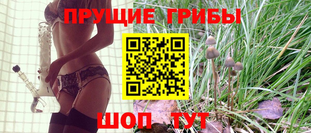 Аргун  Галлюциногенные грибы MAGIC MUSHROOMS  Вход с VPN 